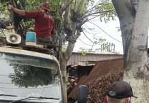 SATPOL PP Kecamatan Tandes Tertibkan Bangunan Liar Di Jalan Bibis Tama Balongsari Surabaya